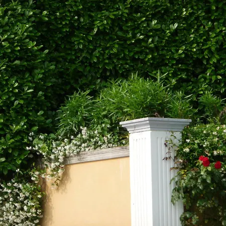 Lugano Apartman *